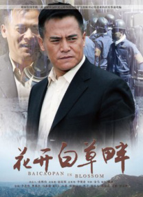 国产入口
